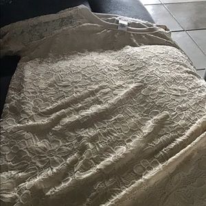 Lined Lace Short Sleeve Blouse